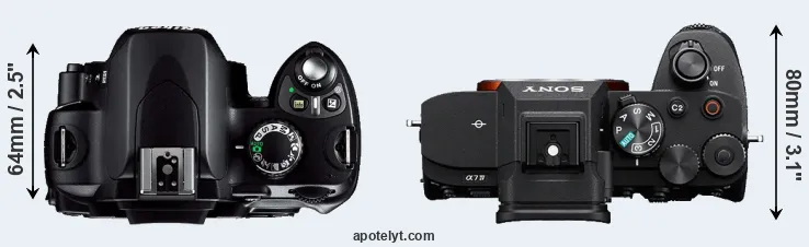 Compare D40 versus A7 IV top
