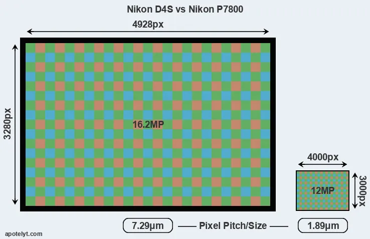 D4S versus P7800 MP