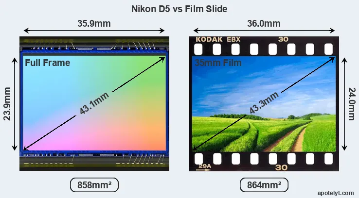 Nikon D5 sensor measures