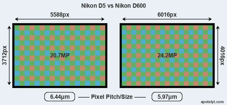 D5 versus D600 MP