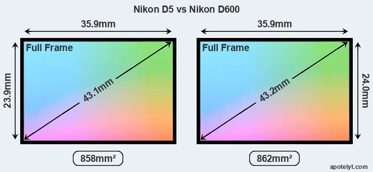 Nikon D5 and Nikon D600 sensor measures