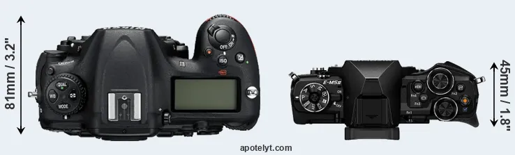 Compare D500 versus E-M5 II top