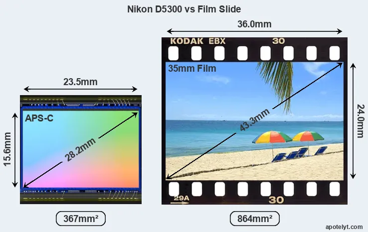 Nikon D5300 sensor measures