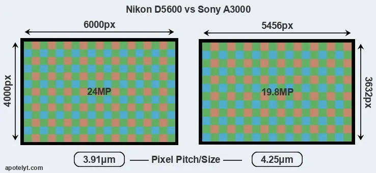D5600 versus A3000 MP