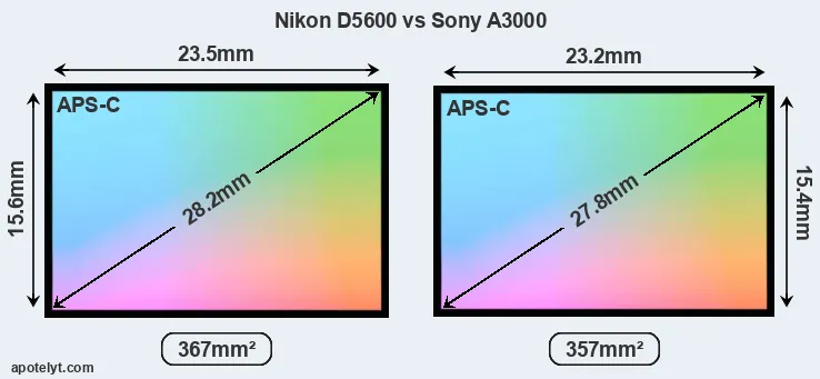 Nikon D5600 and Sony A3000 sensor measures
