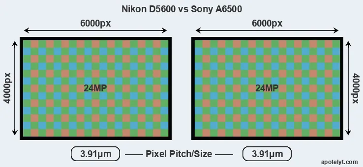 D5600 versus A6500 MP