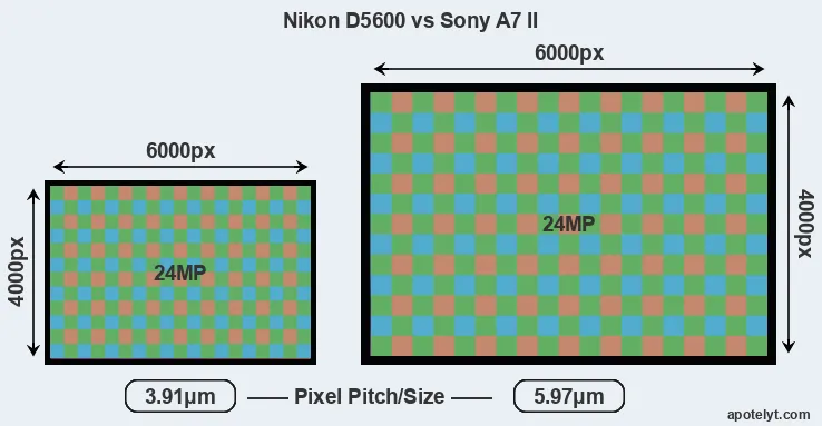 D5600 versus A7 II MP