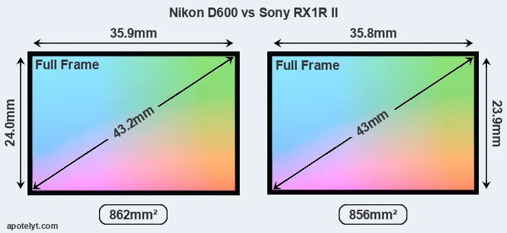 Nikon D600 and Sony RX1R II sensor measures