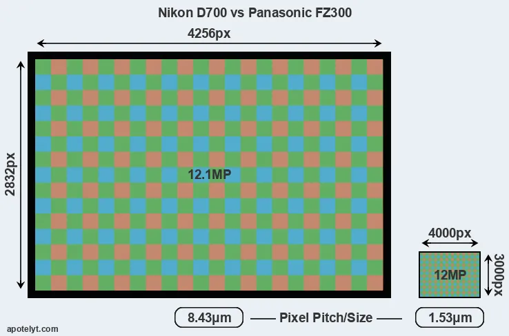 D700 versus FZ300 MP