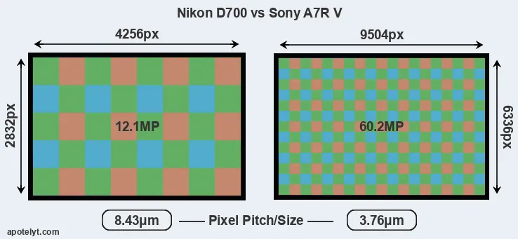 D700 versus A7R V MP
