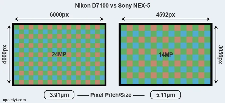 D7100 versus NEX-5 MP