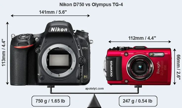 Size Nikon D750 vs Olympus TG-4