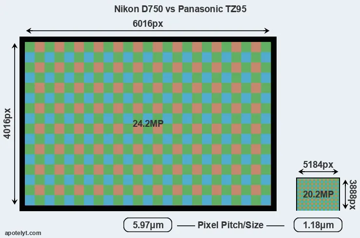 D750 versus TZ95 MP