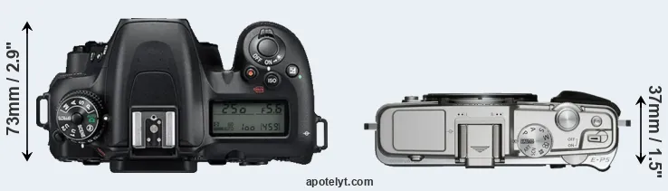Compare D7500 versus E-P5 top