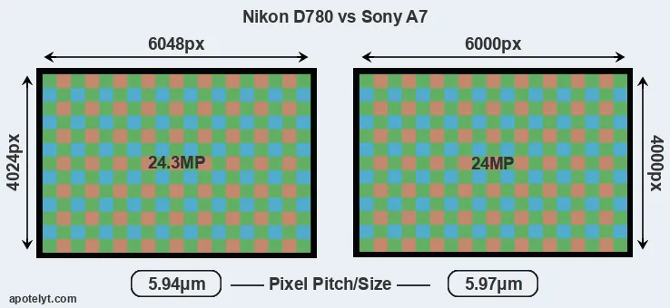 D780 versus A7 MP