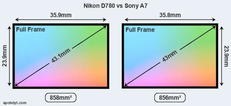 Nikon D780 and Sony A7 sensor measures