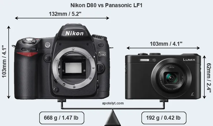 Size Nikon D80 vs Panasonic LF1
