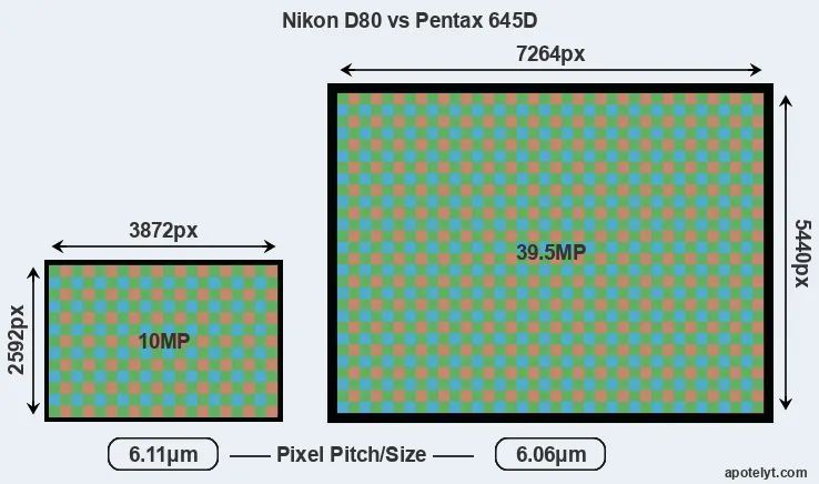D80 versus 645D MP