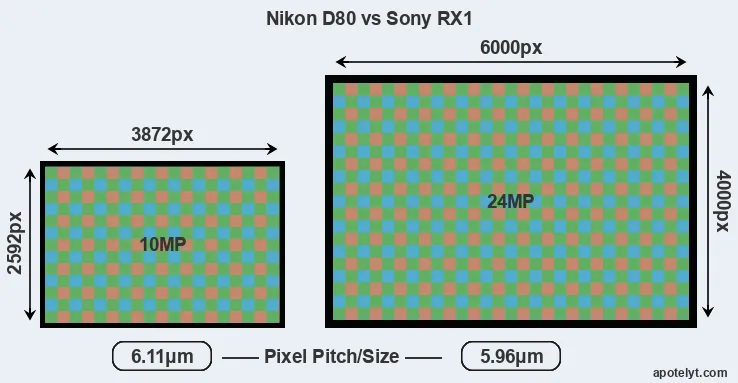 D80 versus RX1 MP