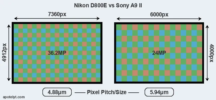 D800E versus A9 II MP