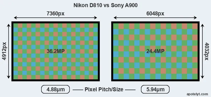 D810 versus A900 MP