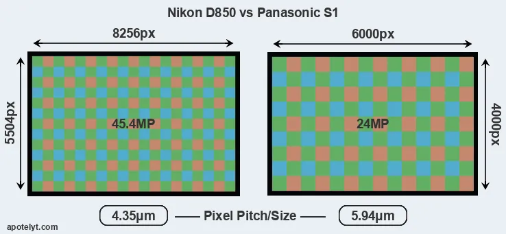 D850 versus S1 MP