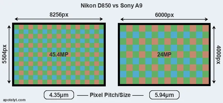 D850 versus A9 MP