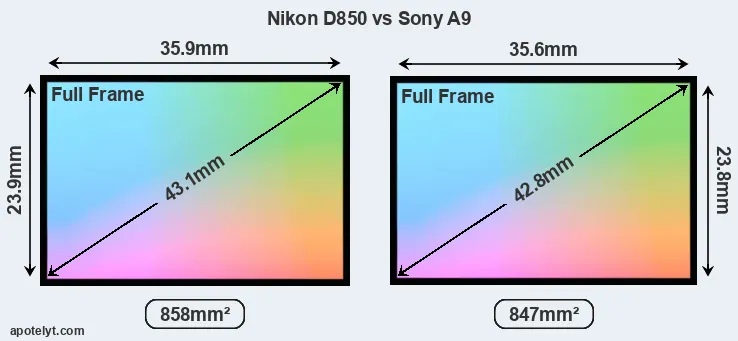 Nikon D850 and Sony A9 sensor measures