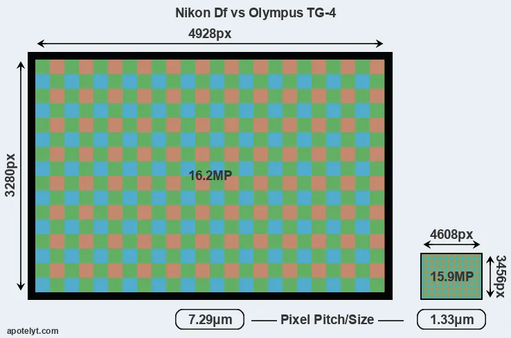 Df versus TG-4 MP