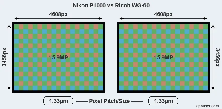 P1000 versus WG-60 MP