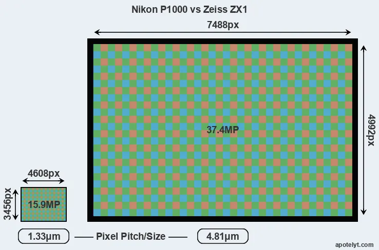 P1000 versus ZX1 MP