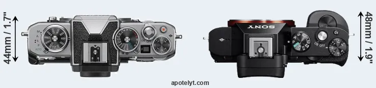Compare Z fc versus A7 top