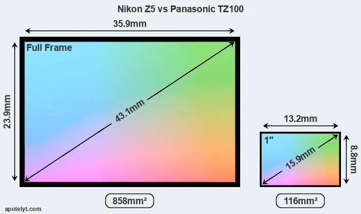 Nikon Z5 and Panasonic TZ100 sensor measures