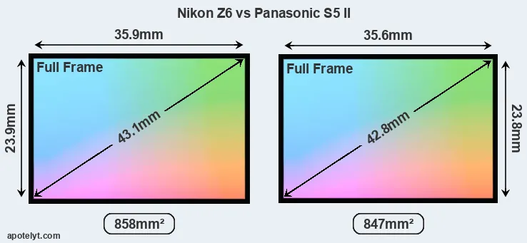 Nikon Z6 and Panasonic S5 II sensor measures