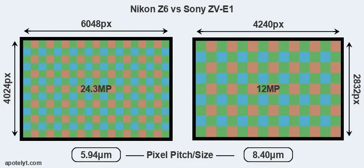 Z6 versus ZV-E1 MP