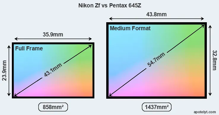 Nikon Zf and Pentax 645Z sensor measures