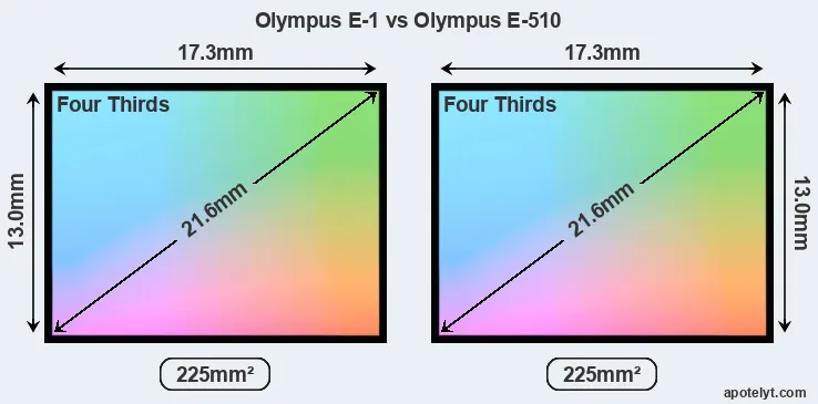 Olympus E-1 and Olympus E-510 sensor measures