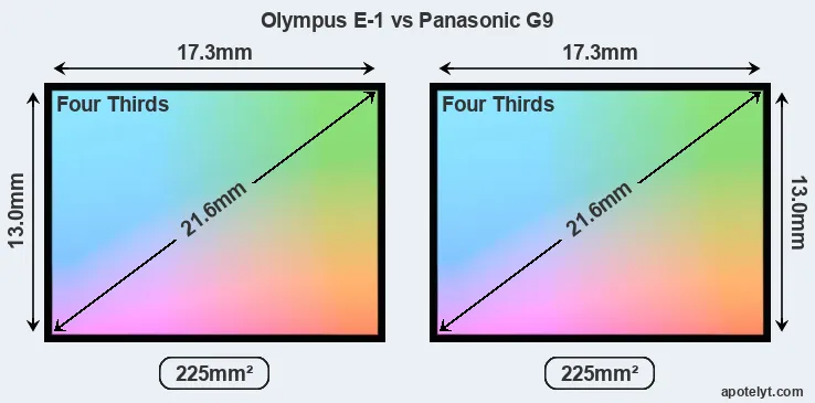 Olympus E-1 and Panasonic G9 sensor measures