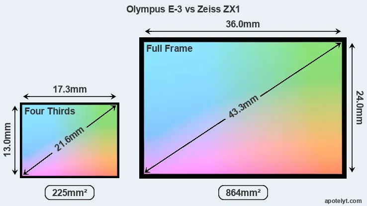 Olympus E-3 and Zeiss ZX1 sensor measures