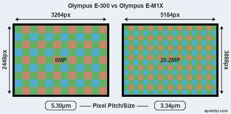 E-300 versus E-M1X MP