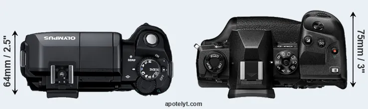 Compare E-300 versus E-M1X top