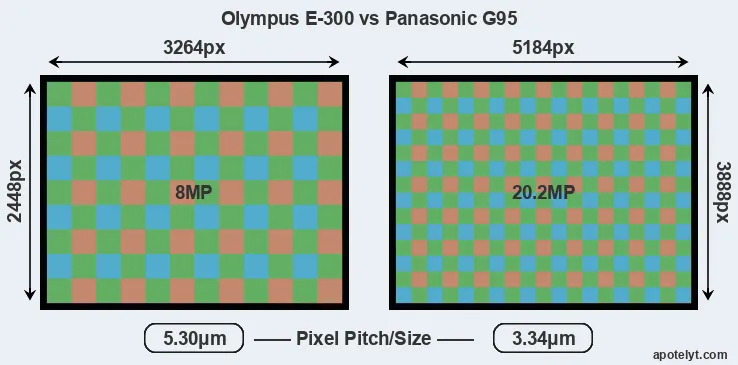 E-300 versus G95 MP