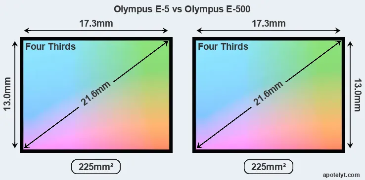 Olympus E-5 and Olympus E-500 sensor measures