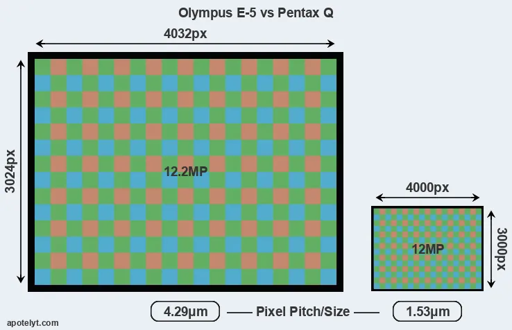 E-5 versus Pentax Q MP