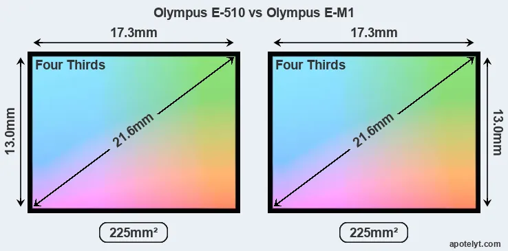 Olympus E-510 and Olympus E-M1 sensor measures