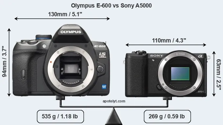 Size Olympus E-600 vs Sony A5000
