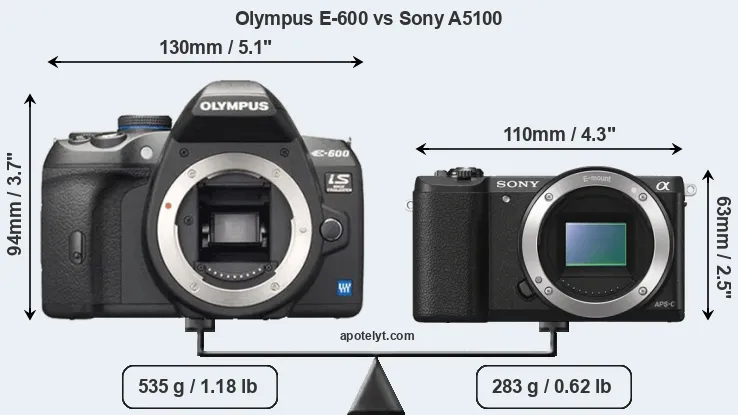 Size Olympus E-600 vs Sony A5100