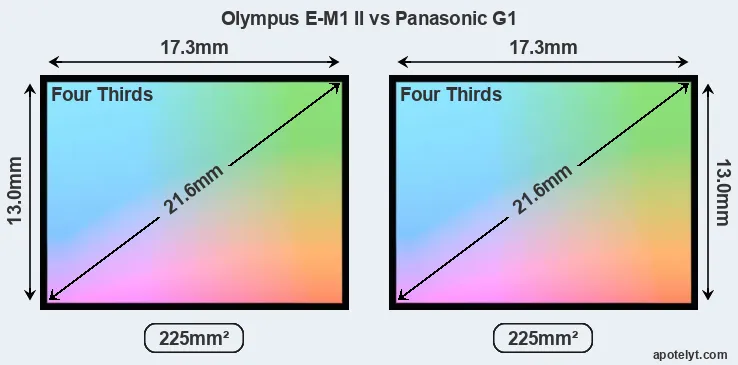 Olympus E-M1 II and Panasonic G1 sensor measures