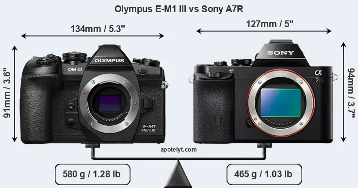 Size Olympus E-M1 III vs Sony A7R