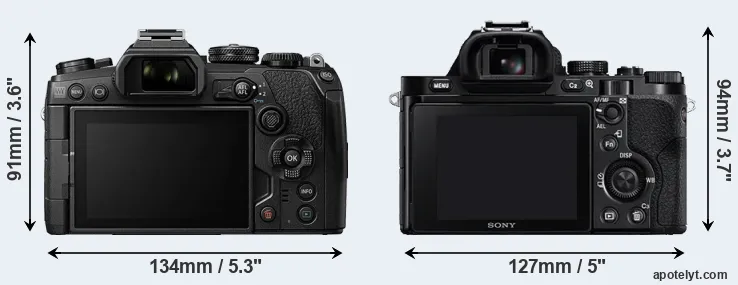 Comparison E-M1 III or A7R rear